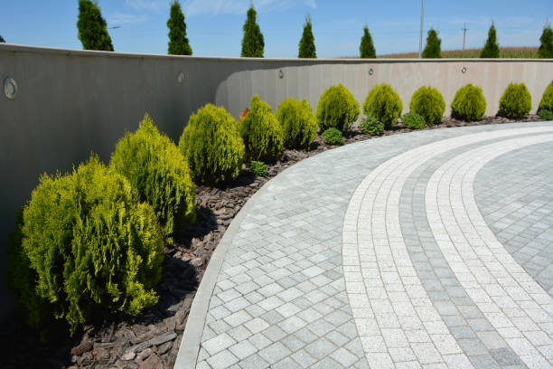 Best Affordable Driveway Paving  in Second Mesa, AZ